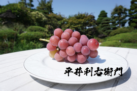 平井利右衛門の特大房青ぶどう(シャインマスカット/4房) 総重量2.5kg以上！】平井利右衛門の青ぶどう(シャインマスカット