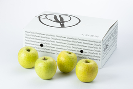 【りんご：王林】癒やしの香り豊かな時間 青りんご 10～7個程度（3kg程度）