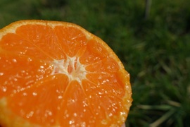 （超限定）濃厚ゆら早生！　2ｋｇ（箱込み）