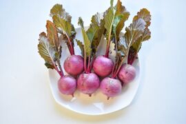 和らぎ農法　もものすけかぶ　大（2～6個）