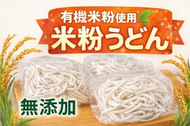 有機米使用 米粉うどん グルテンフリー 3袋 小麦不使用 冷凍 冷やしうどん ざるうどん 無添加 米粉麺 冷凍便