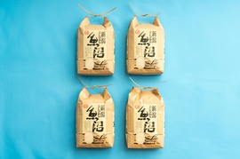 【年末セール‼】【R7新米】南魚沼産コシヒカリ 白米5kg×4 ひらくの里ファーム 慣行栽培