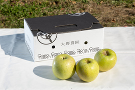 りんご 王林最終収穫  癒やしの香り豊かな時間 青りんご 8～5個程度（2kg程度）