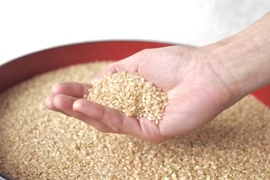 もちプチ食感 きらほ玄米 2㎏ ≪特別栽培米≫