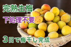 自然栽培 完熟ありが梅　850g 　下処理不要で梅仕事なんと3分！　殺菌洗浄済でカビなどの失敗しにくい　しかも完成も早いよ！ 残りわずか