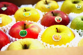 【予約開始】３個 ８８８,８８８円の高級リンゴ！限定３０セット！！大切な方へのギフトに最適！青森県弘前市のとんがり▲まさひろ林檎園から