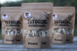 ☆トヨチーニ☆スライス（30ｇ入り）×1袋・乾しいたけ・乾椎茸・干し椎茸・しいたけ
