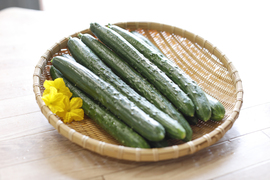 石井食品おまけ付　極旨秩父きゅうり良選【特別栽培、約２㎏】