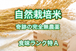 奇跡の🌾お米 10kg （無洗米）30年間農薬不使用「ありがとまい」おいしさも特A  一生に一度は食べてみたい！ 種もみから育て、除草剤、殺虫剤、化学肥料無使用（残りわずか）