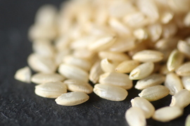 【数量限定】令和７年産はいごころ玄米10ｋｇ　プチプチした食感が楽しい個性派玄米