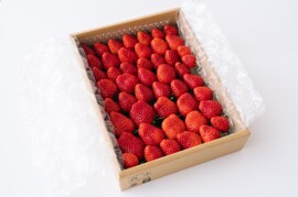 【ファミリーパック終了間近のキャンペーン値引き中！】超希少品種【おいCベリー】1000ｇ以上　◇朝どれ完熟保証◇