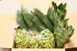 【季節のセット】赤城の夏野菜2025・緑の野菜３点