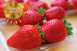 ジュワ～と溢れる果汁！完熟とちあいか260g×4
栃木県産★今話題の甘さが際立つ品種です！