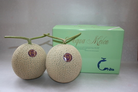 【夏ギフト】高級メロン 千葉県富津市産アールスメロン 1.2～1.5kg/個 ×2個入り