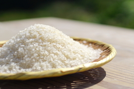 新潟の一等米100% 【新米コシヒカリ(R5年産)】白米 / 3kg / ~農薬・化学肥料不使用~（新潟）