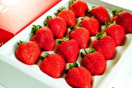 朝採り新鮮完熟あまおう! 大玉9~15玉入り!【熨斗付き】(希望者のみ)