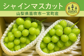 🍇【山梨県笛吹市産】プレミアムシャインマスカット 約2kg🍇 ～芳醇な甘みと爽やかな香り、贅沢なひとときを～贈答　ギフト　家庭用にも