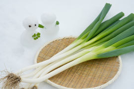 冬季限定！姫雪ねぎ（2.５kg）