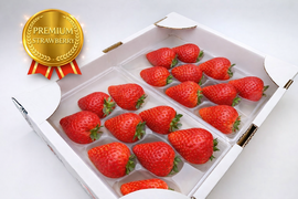 ジュワ～と果汁！贈答用！完熟とちあいか！やさしく苺を包むゆりカーゴ梱包！今話題の甘さが際立つ品種です！
約270g×2パック