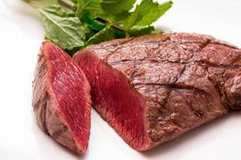 【500g】最高級部位　柔らかな上質な赤身【牛肉？馬肉？】【ダチョウ肉フィレ】