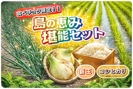 【淡路島の春ギフト】「島の恵み堪能セット」極甘新玉ねぎ５kg＆もっちりコシヒカリ５kg（令和7年度産）