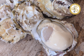 <天恵牡蠣 生食40個> 天草有明海育ちの「マガキ」［配送2日エリア限定］