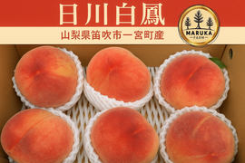 🌟【山梨県笛吹市産】桃プレミアム日川白鳳 3.0kgセット🌟