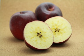 【完売】おいらせ 芳醇な甘～いりんご 5kg（9～20個）