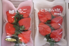 大粒！
完熟恋みのりととちあいかの食べ比べ
(あなたの好みは恋ですかあいですか…)