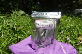 【味に自信あり：西表島ニッキ茶（オキナワニッケイ/カラキ茶）　100% 自然栽培＆農薬不使用（10.5g）