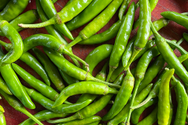 【お得！シーズン最後収獲！】訳アリ 青唐辛子 お得品！栽培期間中農薬不使用 自然栽培 500g