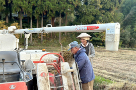 【2025年度産】［玄米］自然栽培コシヒカリ5kg（富山県氷見産）