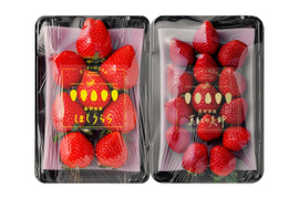 濃厚な甘さ！長野県産『真紅の美鈴』『ほしうらら』280g×各１p