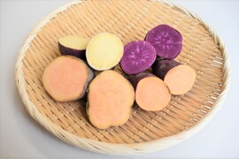和らぎ農法　さつまいも食べ比べ便（約2.5kg）