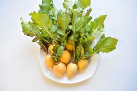 和らぎ農法　黄金かぶ　大（1袋）（3～8個）