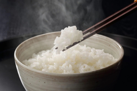 令和7年産 新米 新潟県産コシヒカリ 5kg こしひかり