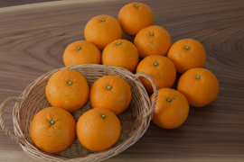 栽培期間中農薬不使用　甘夏５ｋｇ　M玉中心