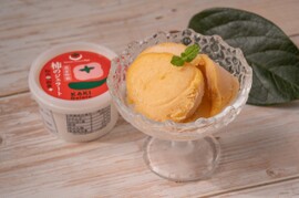 糖度18℃以上!刀根早生柿ジェラート8個セット山の辺の果実たっぷり!