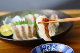 【朝市限定】箸が止まらない！鯛の甘味が際立つ！刺身や漬け丼で味わい尽くす♪＜半身ずつ食べ比べ＞