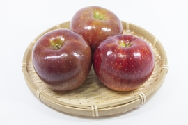 【予約販売】シナノリップ💗家庭用約4.5Kg💗青森県産　数量限定