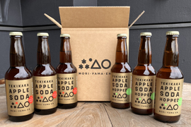 摘果りんご果汁100% ノンアル炭酸飲み比べセット テキカカアップルソーダ&ホップド各3本計6本セット　甘味料・香料・保存料不使用で体にうれしい超さわやか炭酸ドリンク🍹お食事にも合う！！