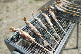 バーベキューにお勧め！焼いてあるので簡単便利♪　【にじます串焼き10尾】