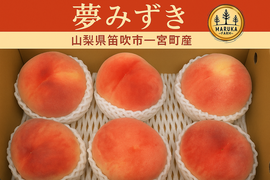 🌟【山梨県笛吹市産】桃プレミアム夢みずき 5.0kgセット🌟
