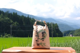 【令和7年新米】白馬村産新米コシヒカリ 5kg｜令和3年金賞受賞歴あり・信州認証米（数量限定）