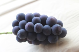 濃厚な甘さとコク！岡山県オリジナル品種「オーロラブラック」