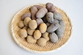 和らぎ農法　じゃがいも　春じゃが食べ比べ便（約2.5kg）