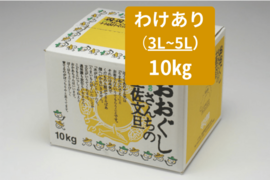 【土佐文旦訳あり10kg（3-5L）】日本で一番みかんと暮らしてる私たちにお任せください！