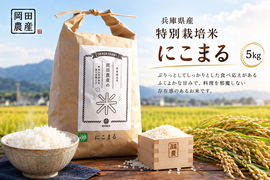 2026年産新米】もちもちツヤツヤ特別栽培米「にこまる」白米10kg：兵庫