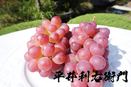 【値引き中！総重量1.5kg以上！】平井利右衛門の赤ぶどう（コトピー/3房）
