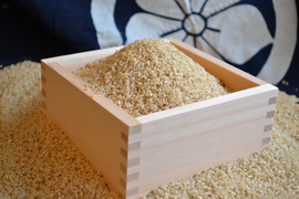 令和7年菊池米食味コンクール第3位受賞　農薬化学肥料成分を気にしなくてよい、「菊池清流米」玄米　5ｋｇ